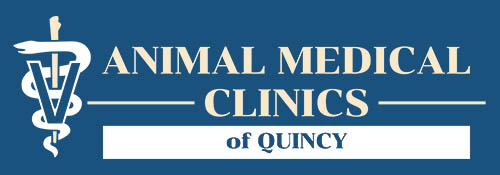 Animal Medical Clinics of Quincy
